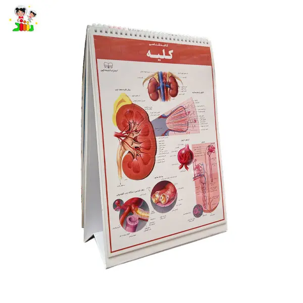 کتاب اطلس کالبد شناسی(آناتومی) بدن انسان | اندیشه کهن